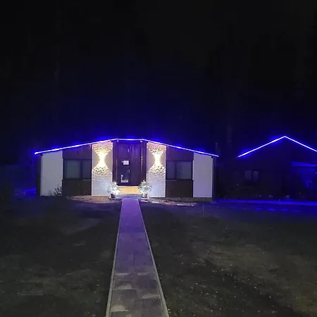 Amik Buşteni