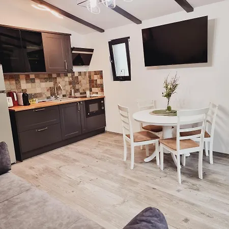 Chalet Amik Buşteni